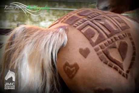 Artista crea asombrosos cortes de pelo artísticos gratuitos para caballos