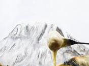 Fondue carne