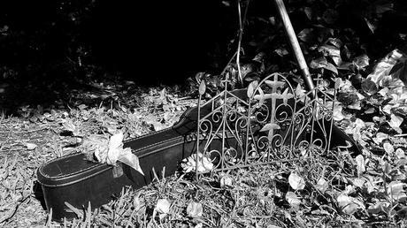 La calma - Attila Bartis La calma - Attila Bartis