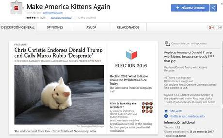 Make America Kittens Again