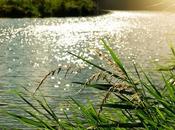 Busca lleve propio puerto