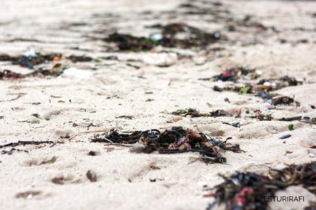 Limpieza de playas: 2 Minute Beach Clean