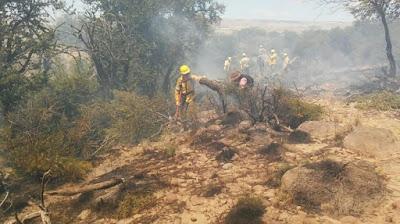 En Junín de los Andes el fuego sigue fuera de control