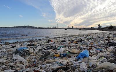 ¿Como nos afectará el cambio climático? 31/01/2017 ¿Como nos afectará el cambio climático? 31/01/2017