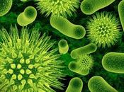 guerra bacterias