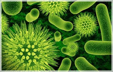 La guerra de las bacterias
