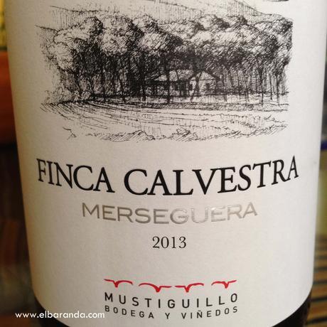 Etiqueta de Finca Calavestra 2013