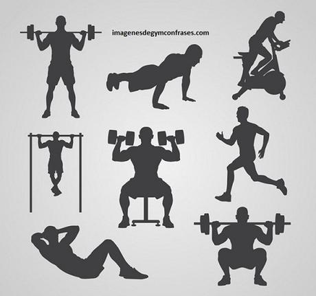 descargar imagenes de gym gratis ejercitar descargar imagenes de gym gratis ejercitar
