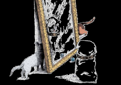 PERROS & GATOS: Bajo la lupa de los científicos