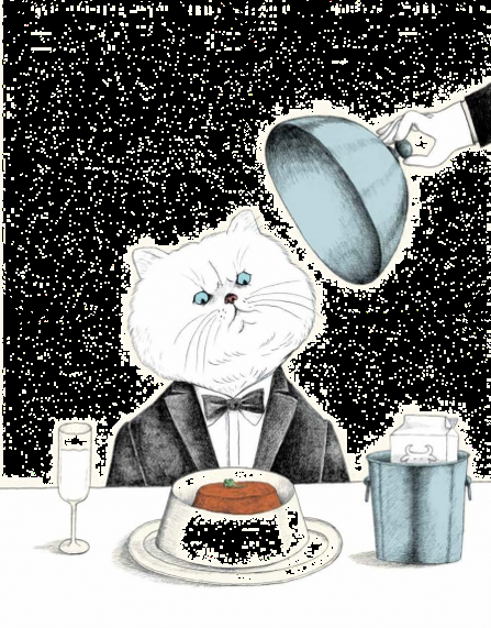 PERROS & GATOS: Bajo la lupa de los científicos PERROS & GATOS: Bajo la lupa de los científicos