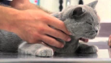 la prevención es fundamental