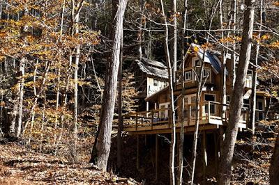 Casa del Arbol en North Carolina