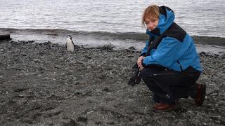 Chile e Inglaterra excluyen a Argentina del acuerdo antártico hasta 2022, mientras Malcorra se saca fotos en el hielo