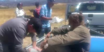 En alpargatas y con palas, la ayuda desesperada de los voluntarios para controlar los incendios