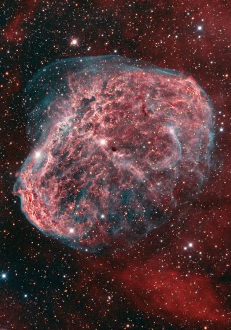 ✨La nebulosa creciente NGC 6888