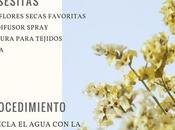 Flores coloridas todo