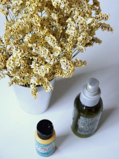 pintar flores secas chalk paint, diy 