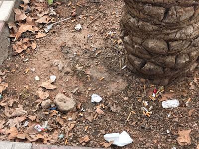 CÓRDOBA SUCIA Y SE VAN A RECOGER BASURA A CUBA…