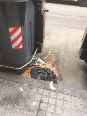 CÓRDOBA SUCIA Y SE VAN A RECOGER BASURA A CUBA…