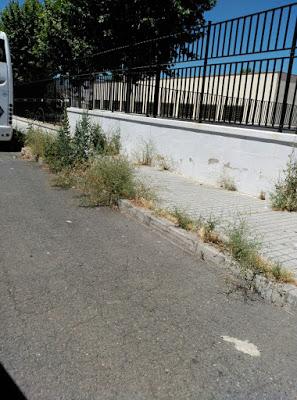 CÓRDOBA SUCIA Y SE VAN A RECOGER BASURA A CUBA…