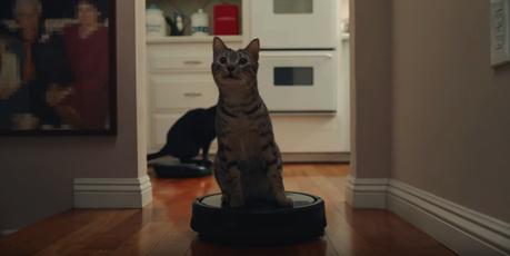 Gatos montados en Roombas y otros memes protagonizan este anuncio de GoDaddy