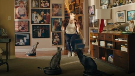 Gatos montados en Roombas y otros memes protagonizan este anuncio de GoDaddy