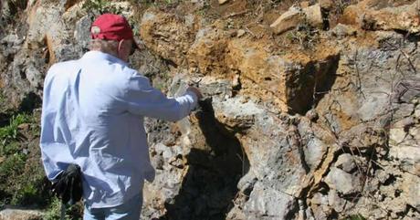Investigadores encuentran pruebas de un antiguo «continente perdido» bajo Mauricio