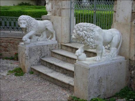 Los ‘otros’ leones del Congreso