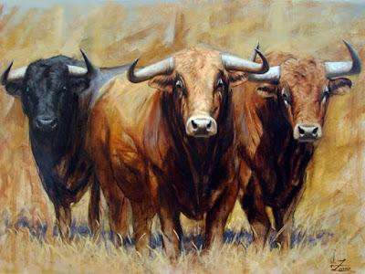 CORTE CONSTITUCIONAL PONE PLAZO MÁXIMO DE DOS AÑOS A CONGRESO PARA PROHIBIR LAS CORRIDAS DE TOROS CORTE CONSTITUCIONAL PONE PLAZO MÁXIMO DE DOS AÑOS A CONGRESO PARA PROHIBIR LAS CORRIDAS DE TOROS