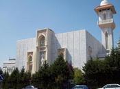 MEZQUITA PROTEGIDA, @luisbarros_o @ElDiestro_