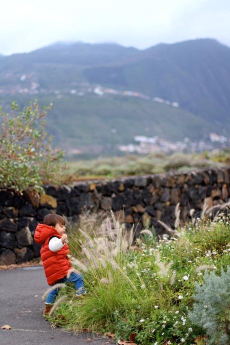 Cold Sunday Cold Sunday