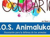 Mercadillo solidario favor S.O.S Animalukos