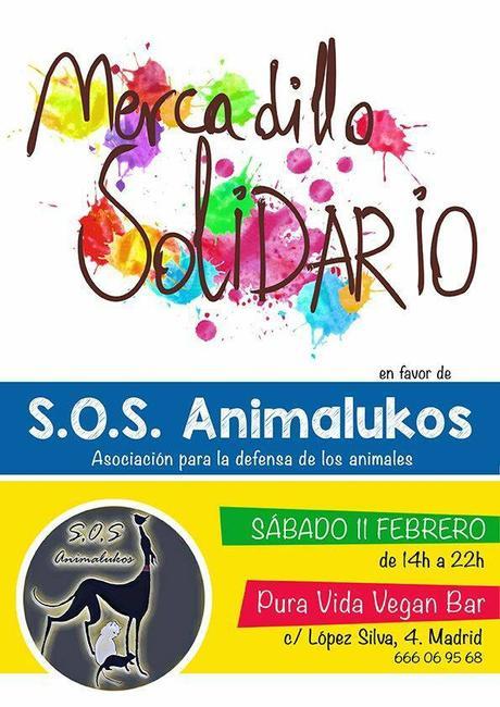 mercadillo solidario madrid