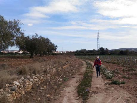 L'Arboç - Banyeres del Penedès
