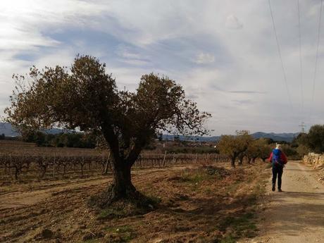 L'Arboç - Banyeres del Penedès