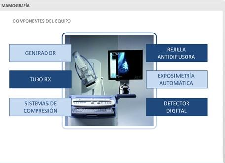EL MAMÓGRAFO. El proceso de obtención de la imagen.