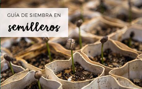 Qué plantar en febrero en el huerto