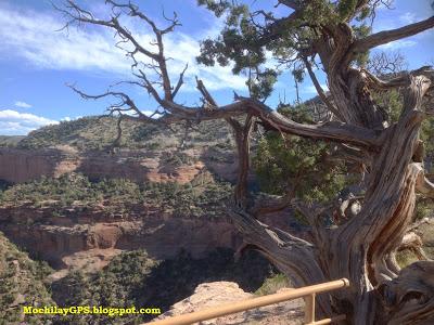 Parque Nacional Cañón Negro del Gunnison y Monumento Nacional Colorado  (Viaje por el Noroeste de los EEUU X)