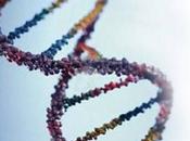 Rutinario pruebas Consulta Obstetrica