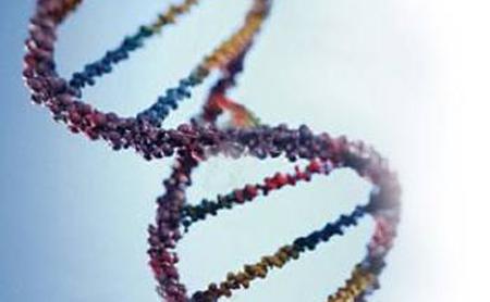 Uso Rutinario de las pruebas de ADN en la Consulta Obstetrica