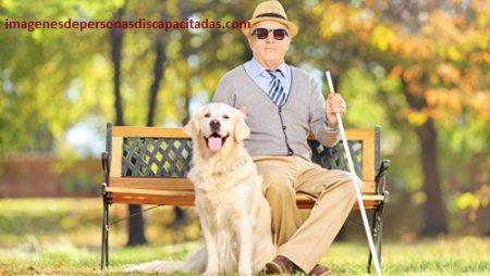 imagenes de discapacidades diferentes ciegos imagenes de discapacidades diferentes ciegos