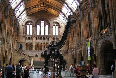 Los 6 Mejores Museos De Londres: Desde Historia Natural Hasta Bellas Artes!