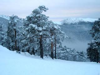 INVIERNO