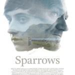 Sparrows, agradable pero insustancial drama islandés
