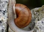 reaprendizaje emocional superación trauma