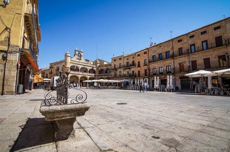 Nadie se sienta al sol