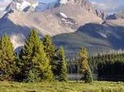 Canadá: (Día Parque Nacional Jasper