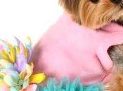 Modelos vestidos para perritas