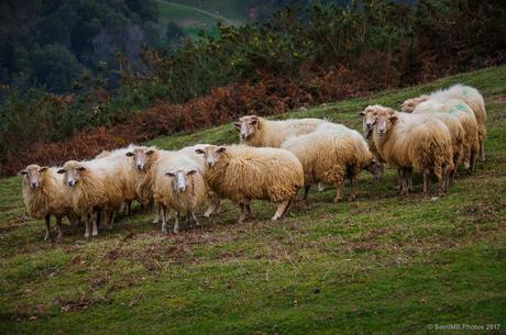 ¿Una sonrisa a la cámara?