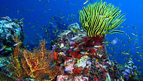 Islas Phi Phi En Tailandia. 10 Cosas Que Hacer En Este Hermoso Archipiélago